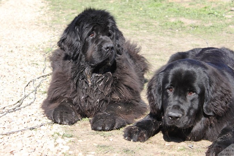 Фотография № 125144