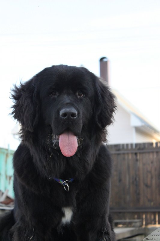 Фотография № 125146