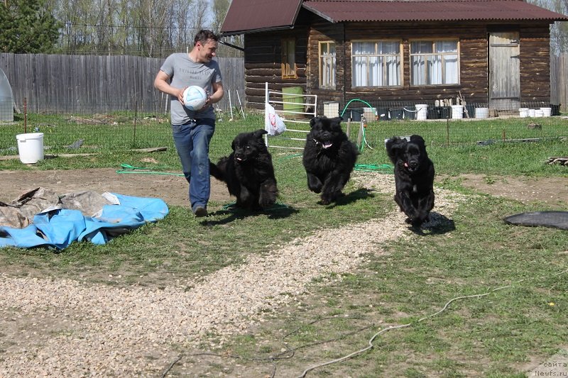 Фотография № 125148