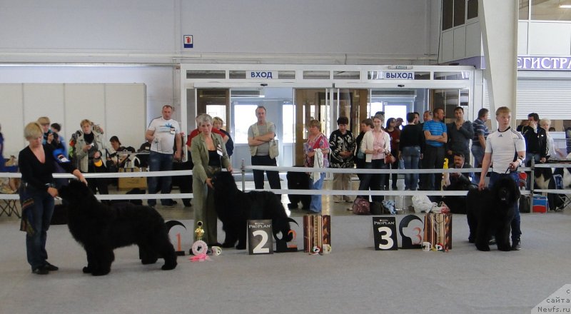 Фотография № 125157