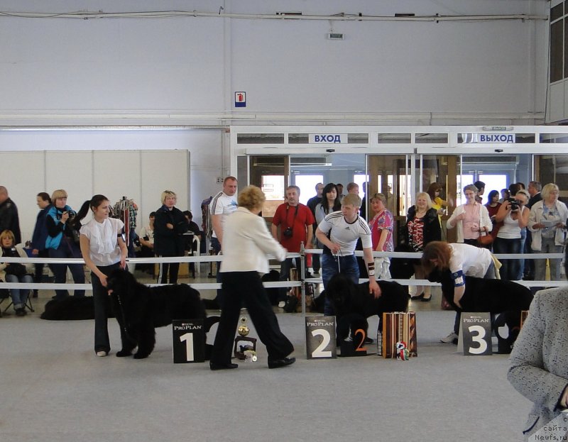 Фотография № 125158