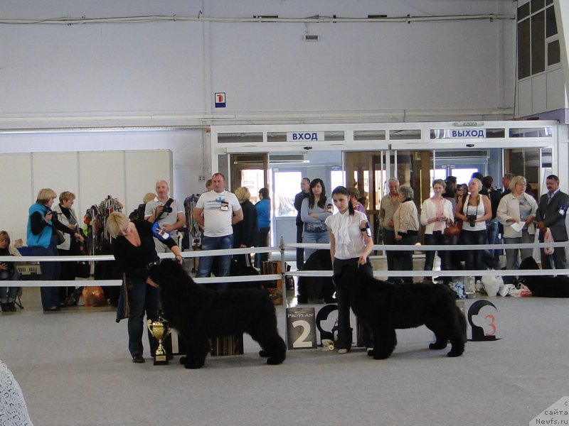 Фотография № 125159