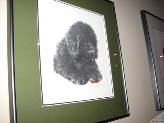 Фотография № 12516