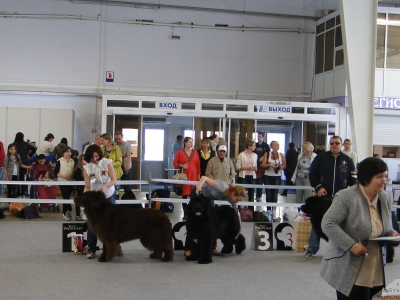 Фотография № 125161