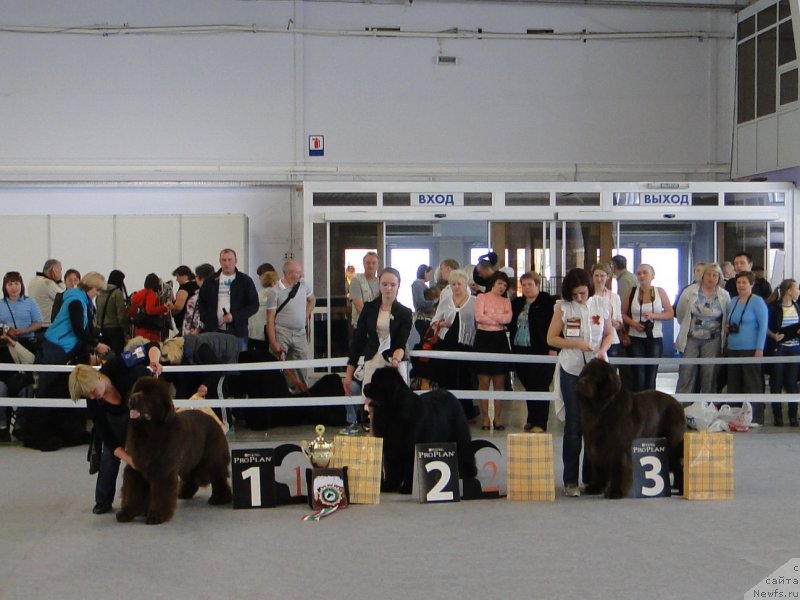 Фотография № 125164