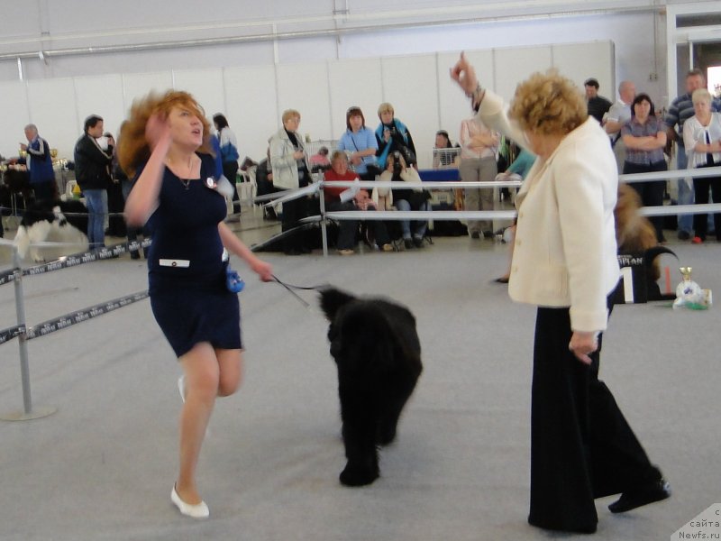 Фотография № 125165