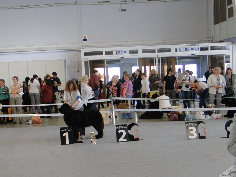 Фотография № 125167