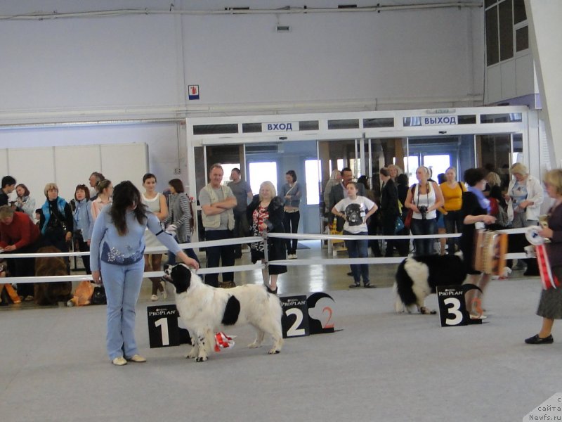 Фотография № 125168