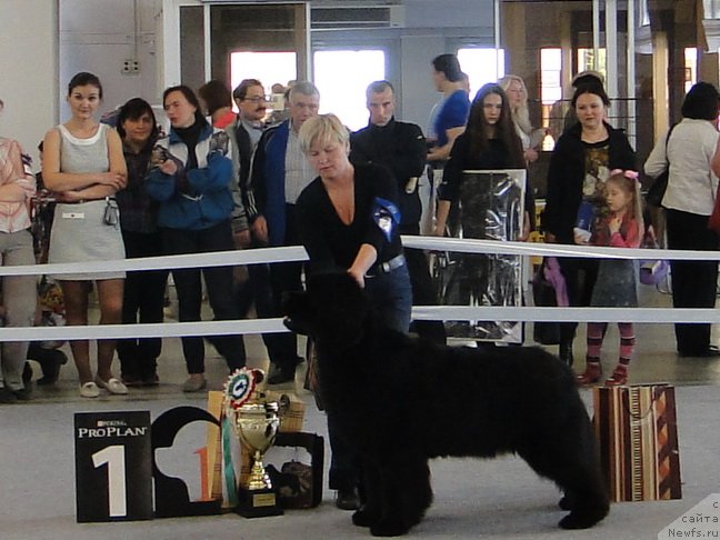 Фотография № 125171