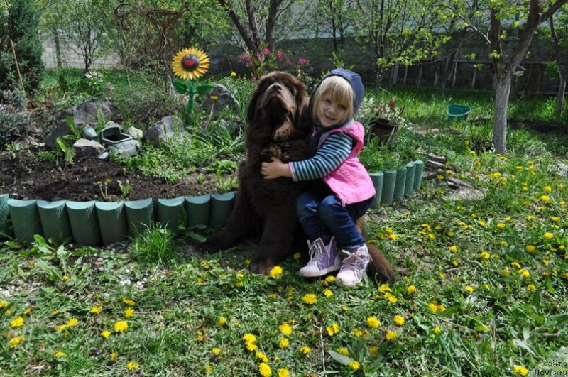 Фотография № 125189