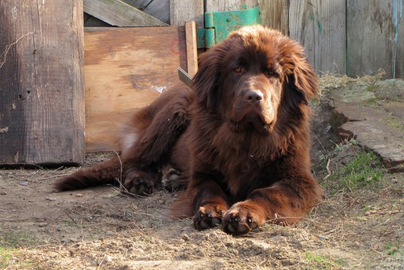 Фотография № 125191