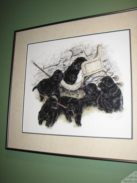 Фотография № 12520