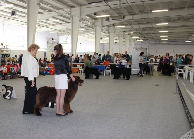 Фотография № 125200