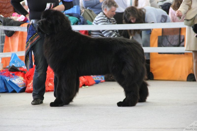 Фотография № 125203