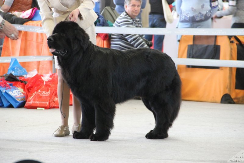 Фотография № 125206