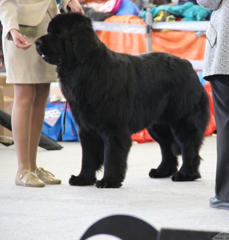 Фотография № 125207