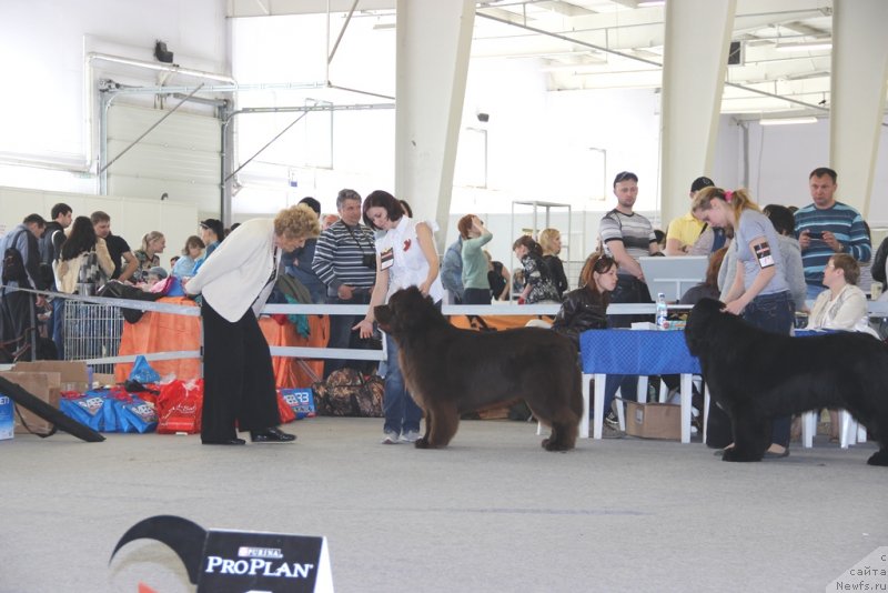 Фотография № 125213