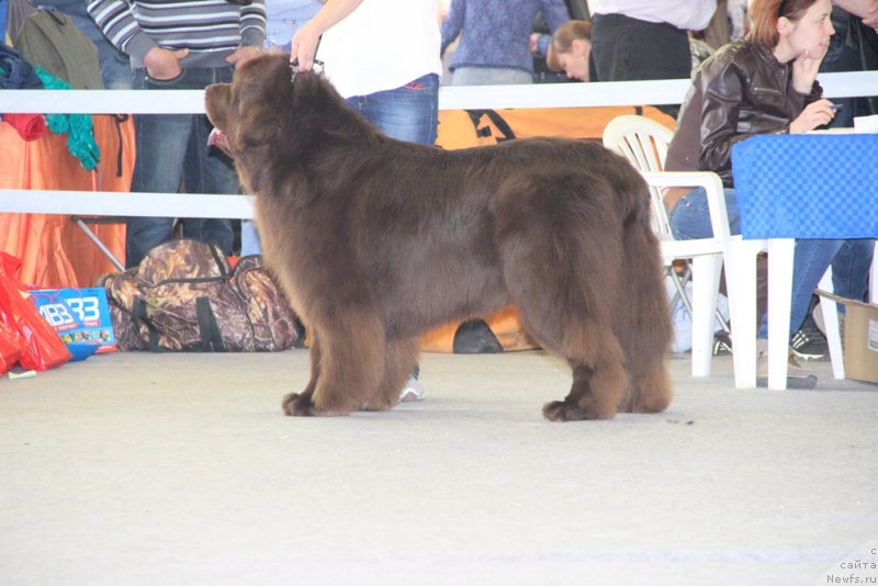 Фотография № 125218