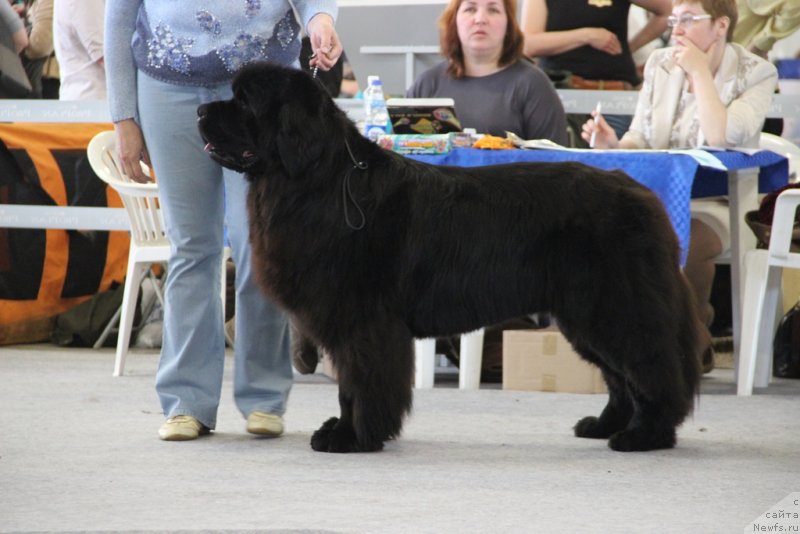 Фотография № 125222