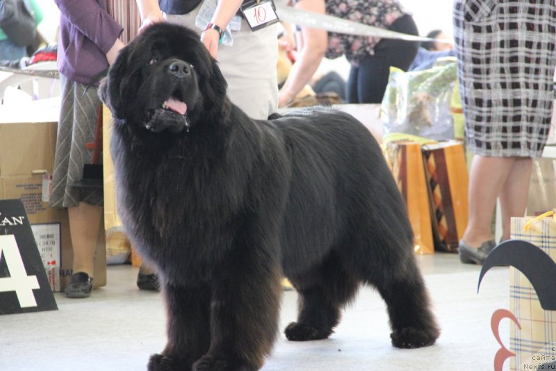 Фотография № 125229