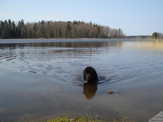 Фотография № 12530