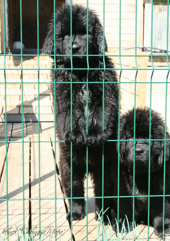 Фотография № 125311