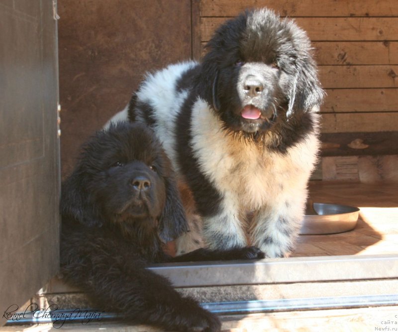 Фотография № 125314