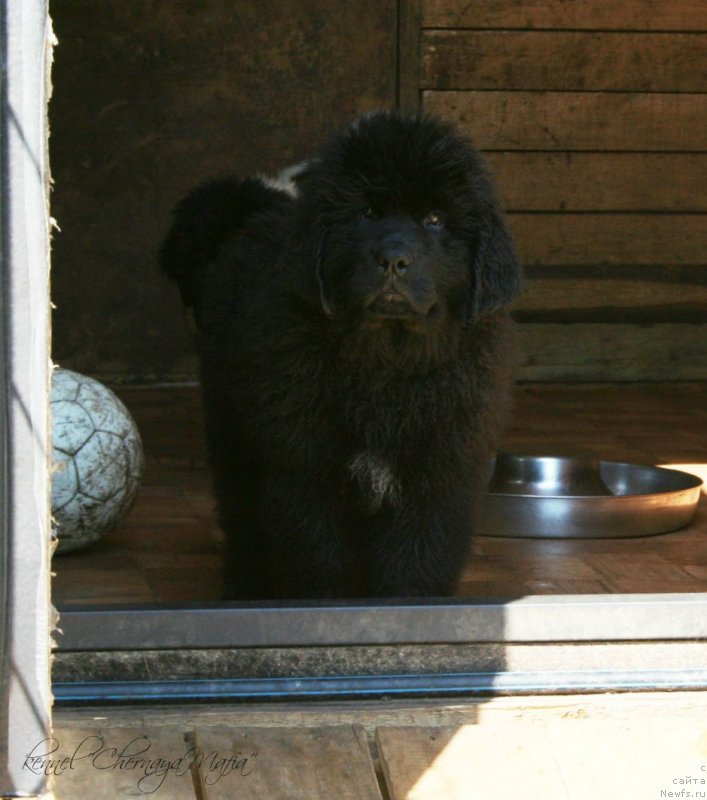 Фотография № 125315