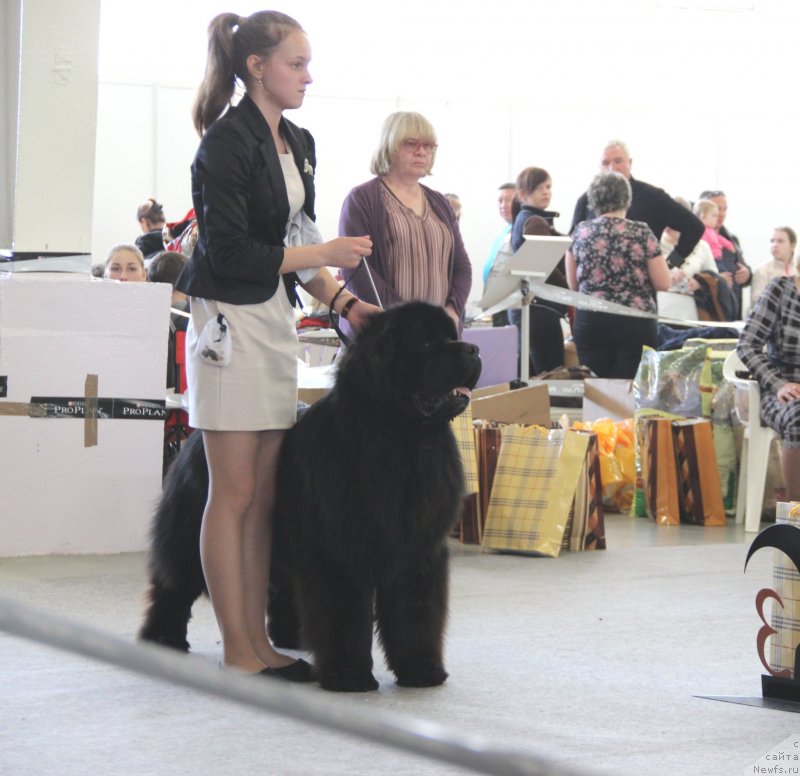 Фотография № 125327