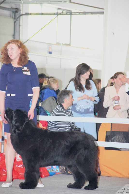 Фотография № 125332