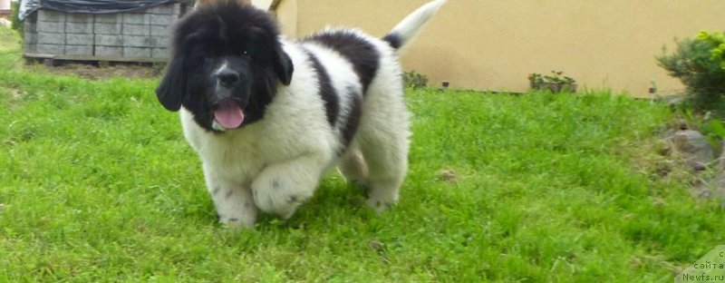 Фотография № 125345