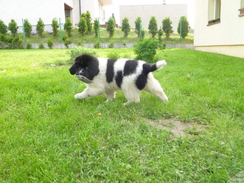 Фотография № 125349