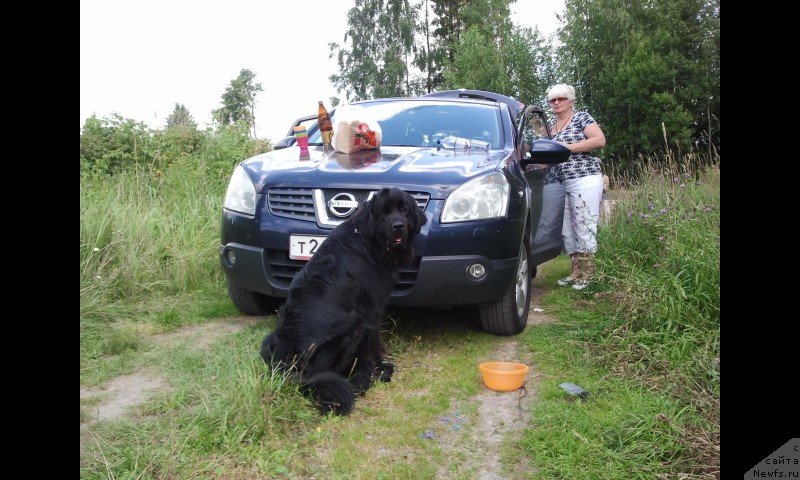 Фото: Татьяна Ушакова