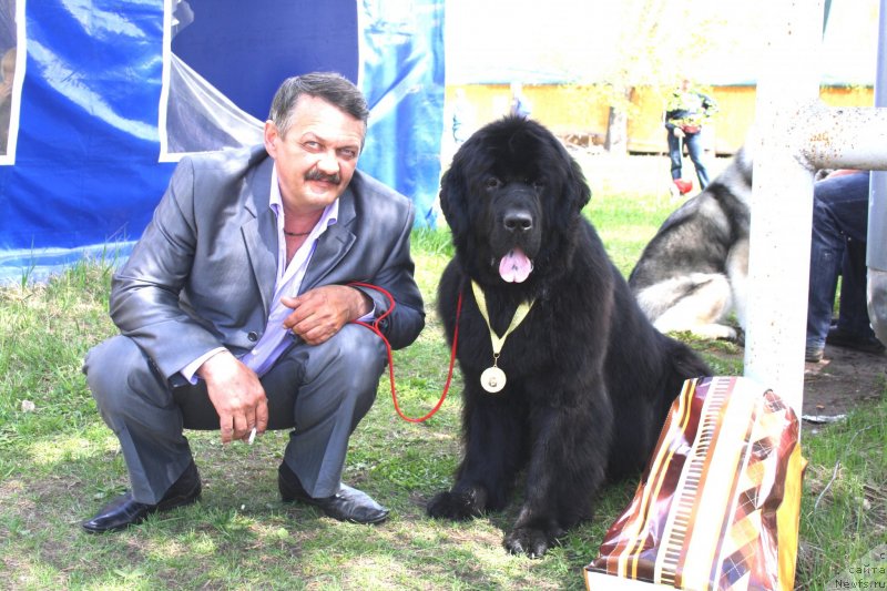 Фотография № 125368