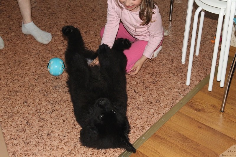 Фотография № 125392