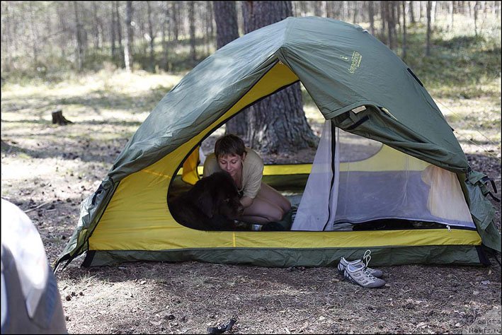 Фото: ньюфаундленд Хозяйка Дома с Берега Дона (Hozjajka Doma s Berega Dona)