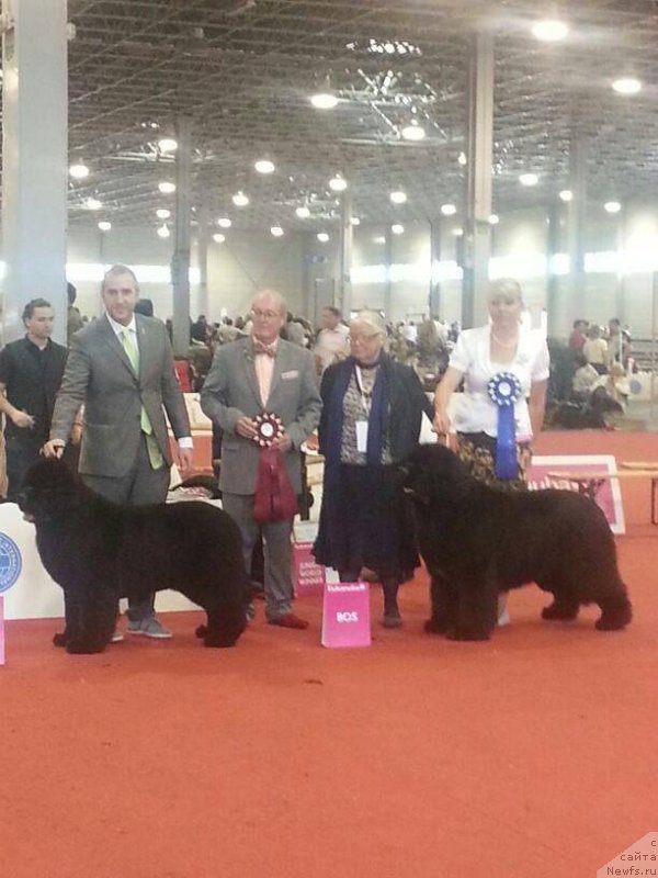 Фотография № 125403