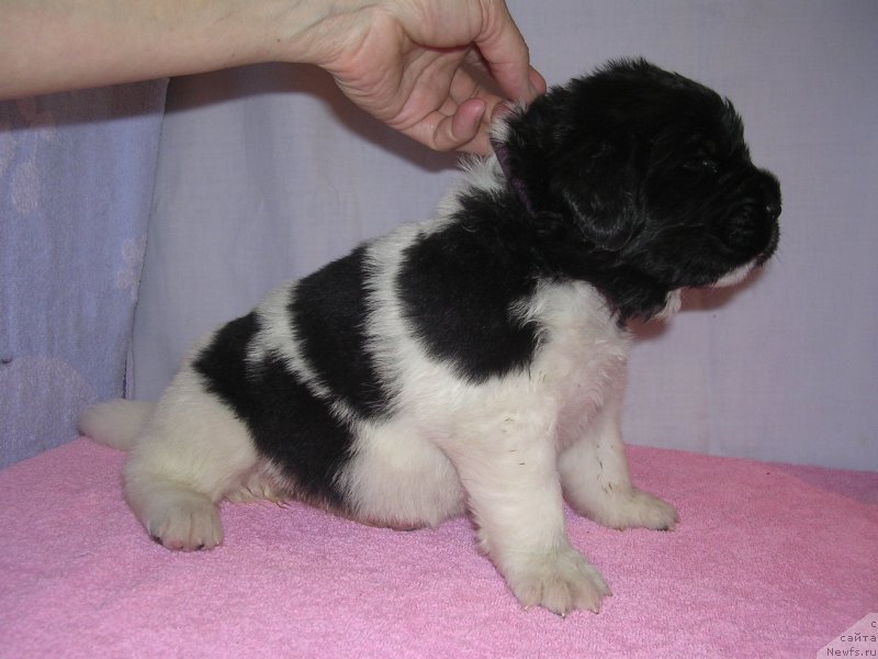 Фото: Галина Смирнова