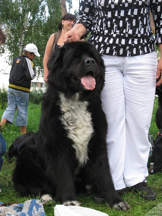 Фотография № 125450