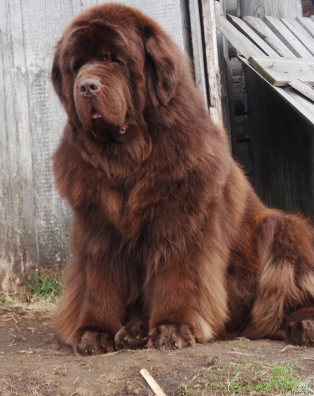 Фотография № 125453