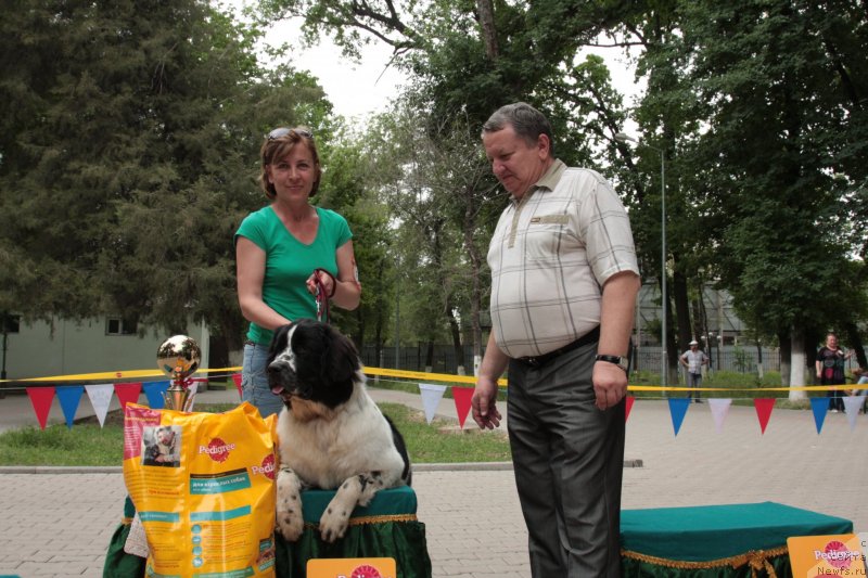 Фотография № 125468