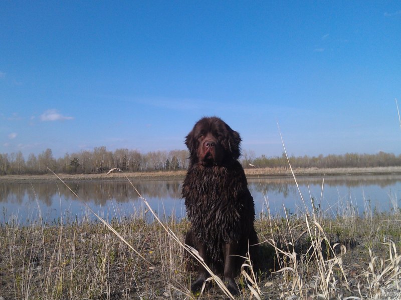 Фотография № 125474