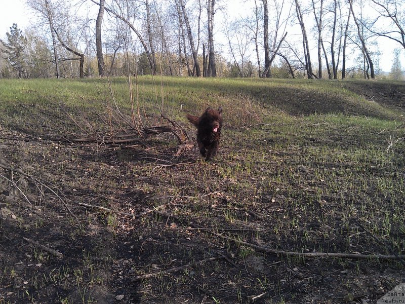 Фотография № 125475