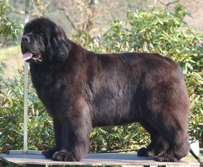 Фотография № 125480