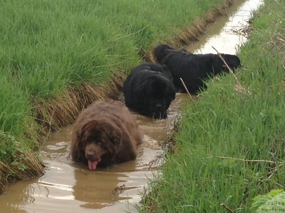 Фотография № 125491