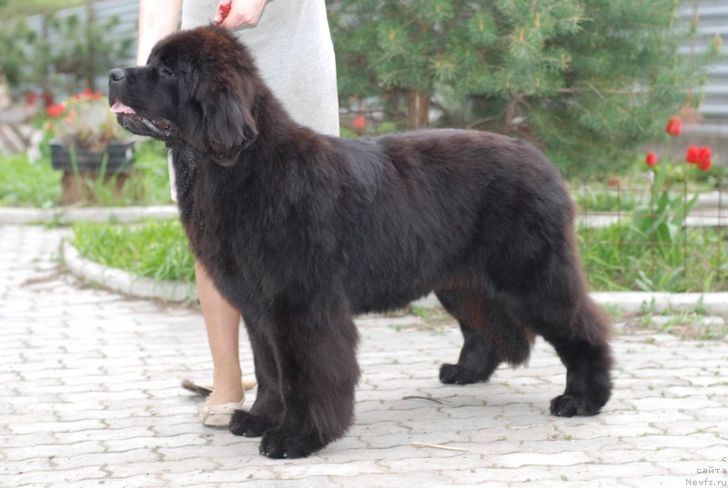 Фотография № 125505