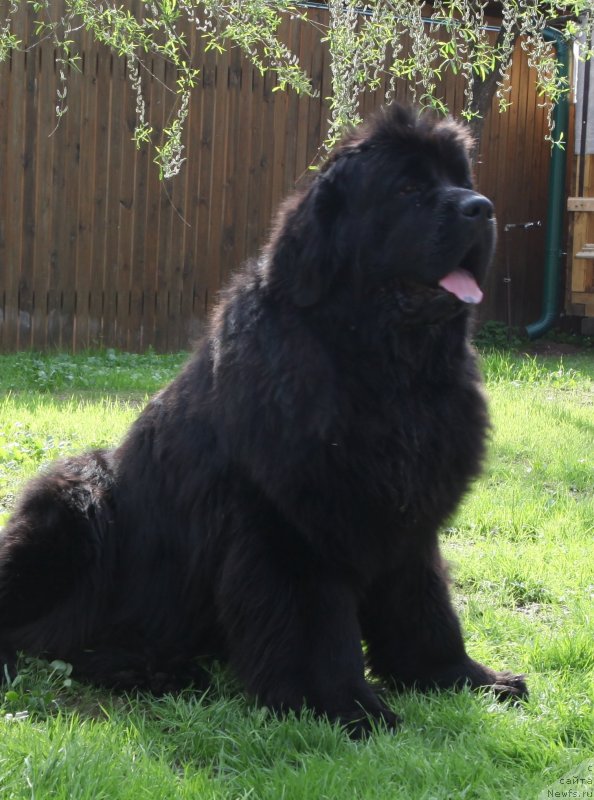 Фотография № 125519