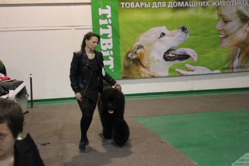 Фотография № 125535