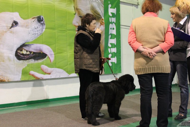 Фотография № 125538