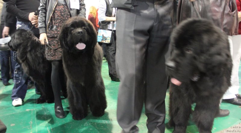 Фотография № 125540